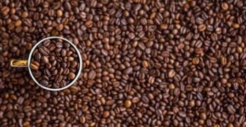 Free Coffee Coffee Beans photo and picture