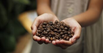 Free Coffee Coffee Beans photo and picture