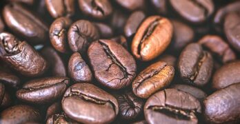 Coffee, Beans, Coffee Seeds, Seeds