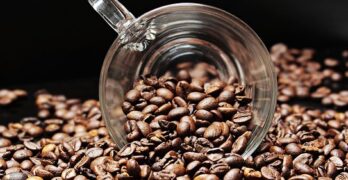 coffee-beans-2258839__340.jpg