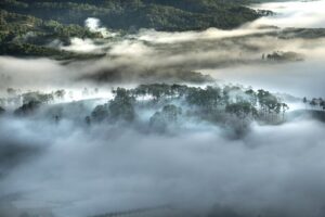 Da Lat, Vietnam, Planting, Shining, Hill