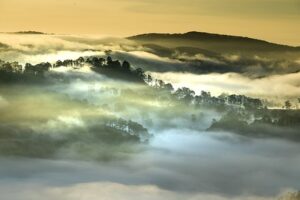 Da Lat, Vietnam, Planting, Shining, Hill