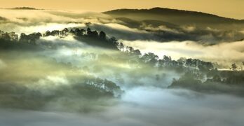 Da Lat, Vietnam, Planting, Shining, Hill