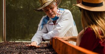 Farmer, Coffee, Beans, Processing